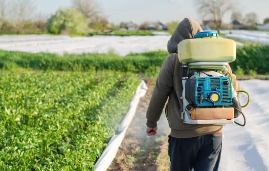 Crop Pest Control